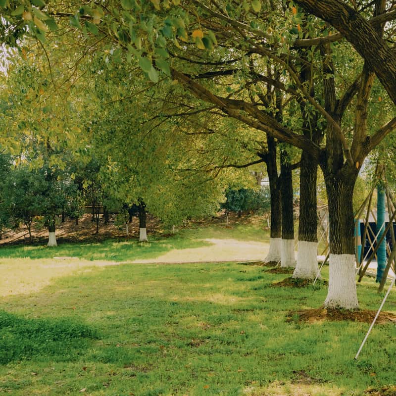 Ground stakes pushed into a lawn